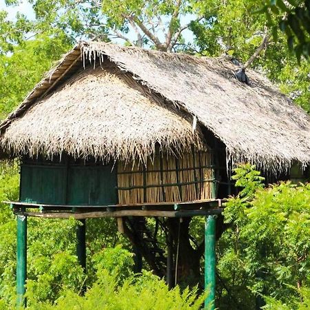 Hotel Yala Beddegama Eco à Kataragama Extérieur photo