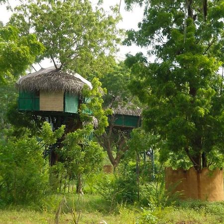 Hotel Yala Beddegama Eco à Kataragama Extérieur photo