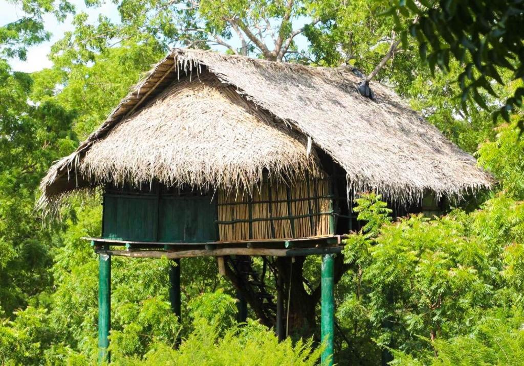 Hotel Yala Beddegama Eco à Kataragama Extérieur photo