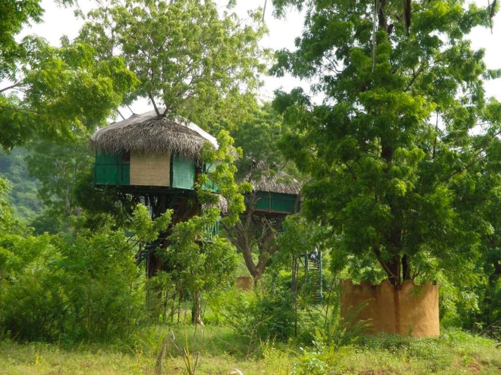Hotel Yala Beddegama Eco à Kataragama Extérieur photo