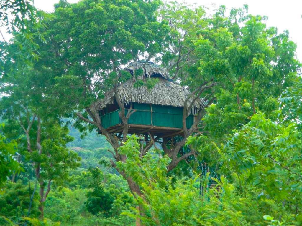 Hotel Yala Beddegama Eco à Kataragama Extérieur photo