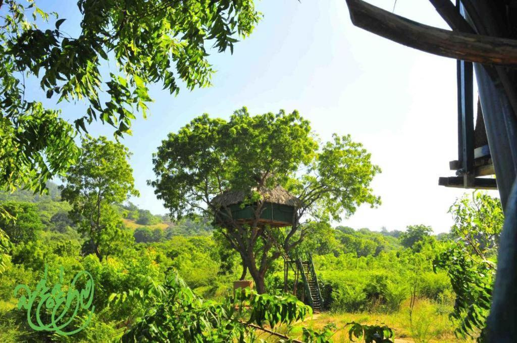 Hotel Yala Beddegama Eco à Kataragama Extérieur photo