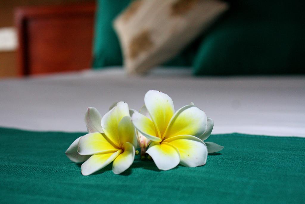 Hotel Yala Beddegama Eco à Kataragama Chambre photo