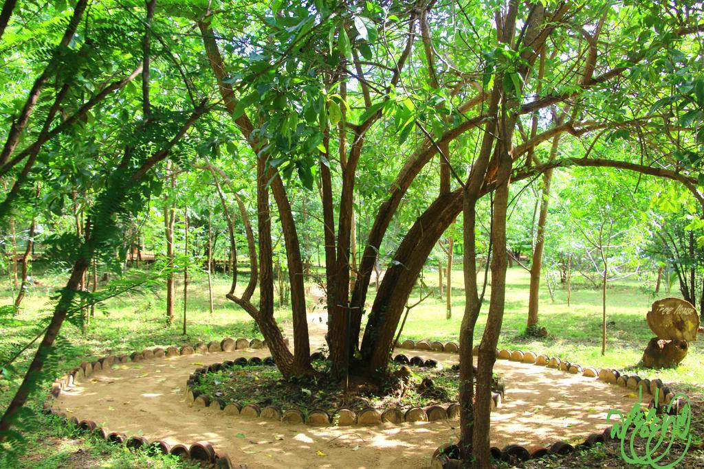 Hotel Yala Beddegama Eco à Kataragama Extérieur photo