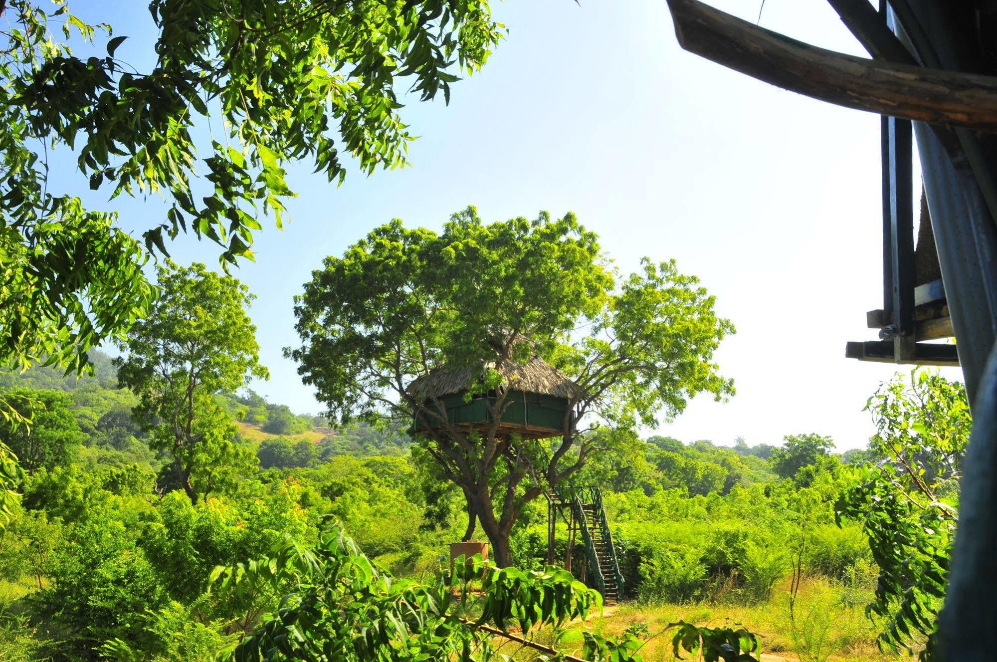Hotel Yala Beddegama Eco à Kataragama Extérieur photo